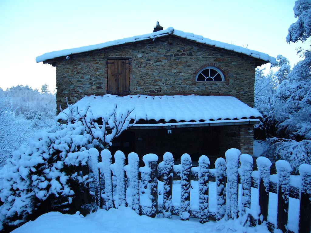 Casas El Alamillo- El Castanero Guest House Galaroza Exterior photo